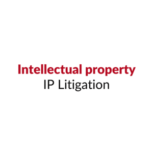 IP litigation | intellectual property