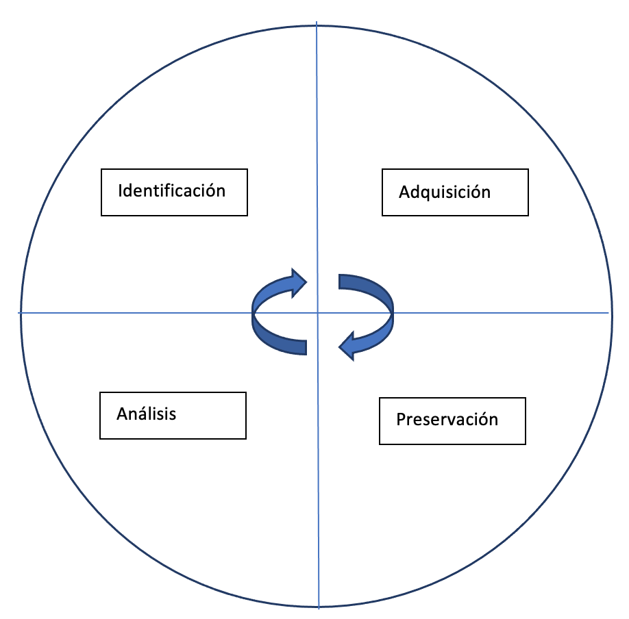 metodologia forense