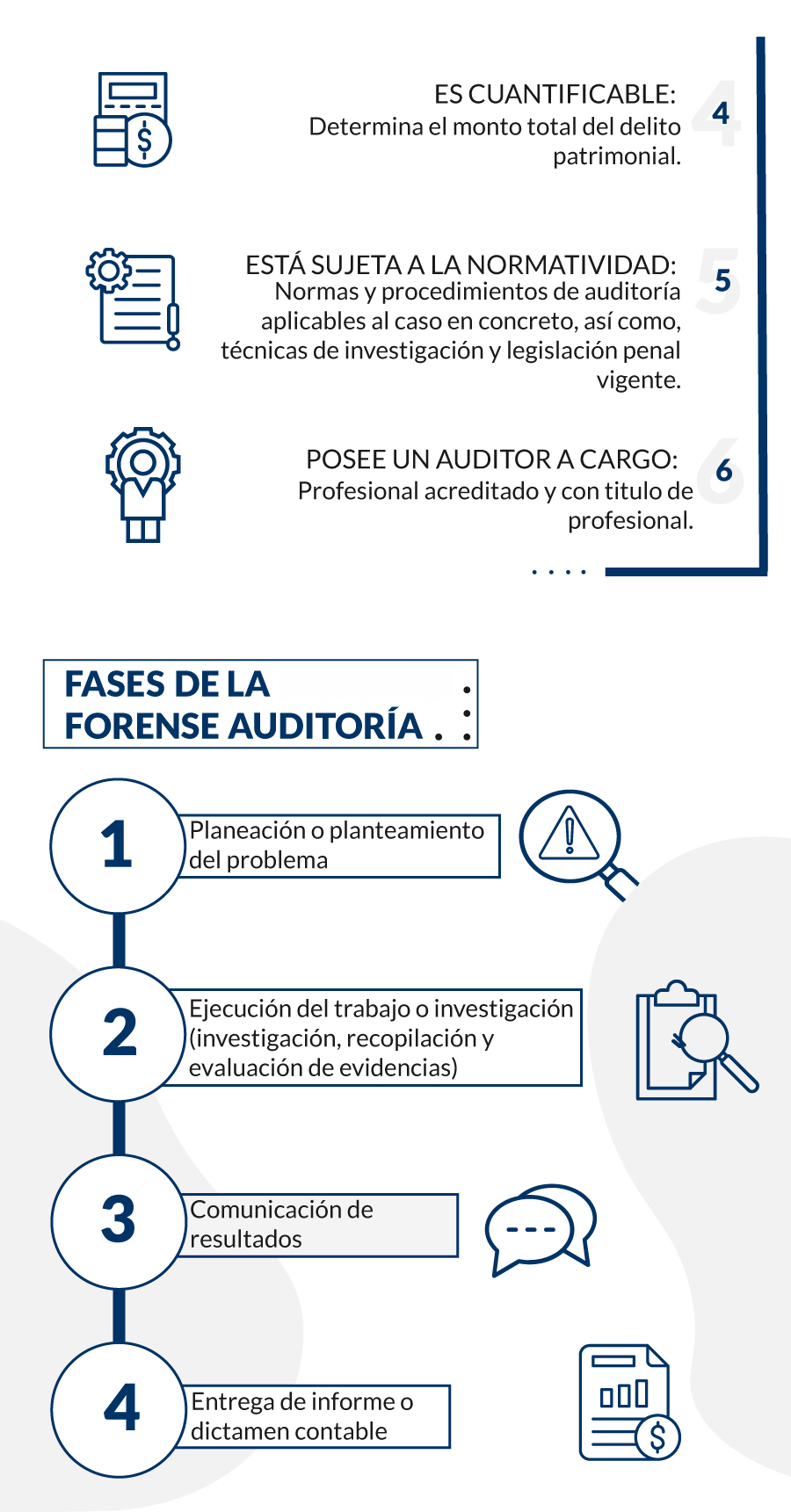 fases de la auditoria