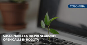 sustainable entrepreneurship