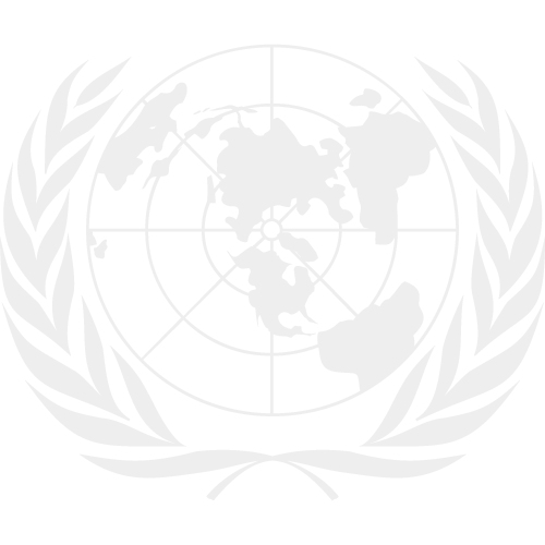 UN icon