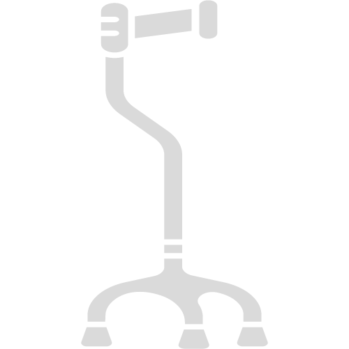 walking stick icon