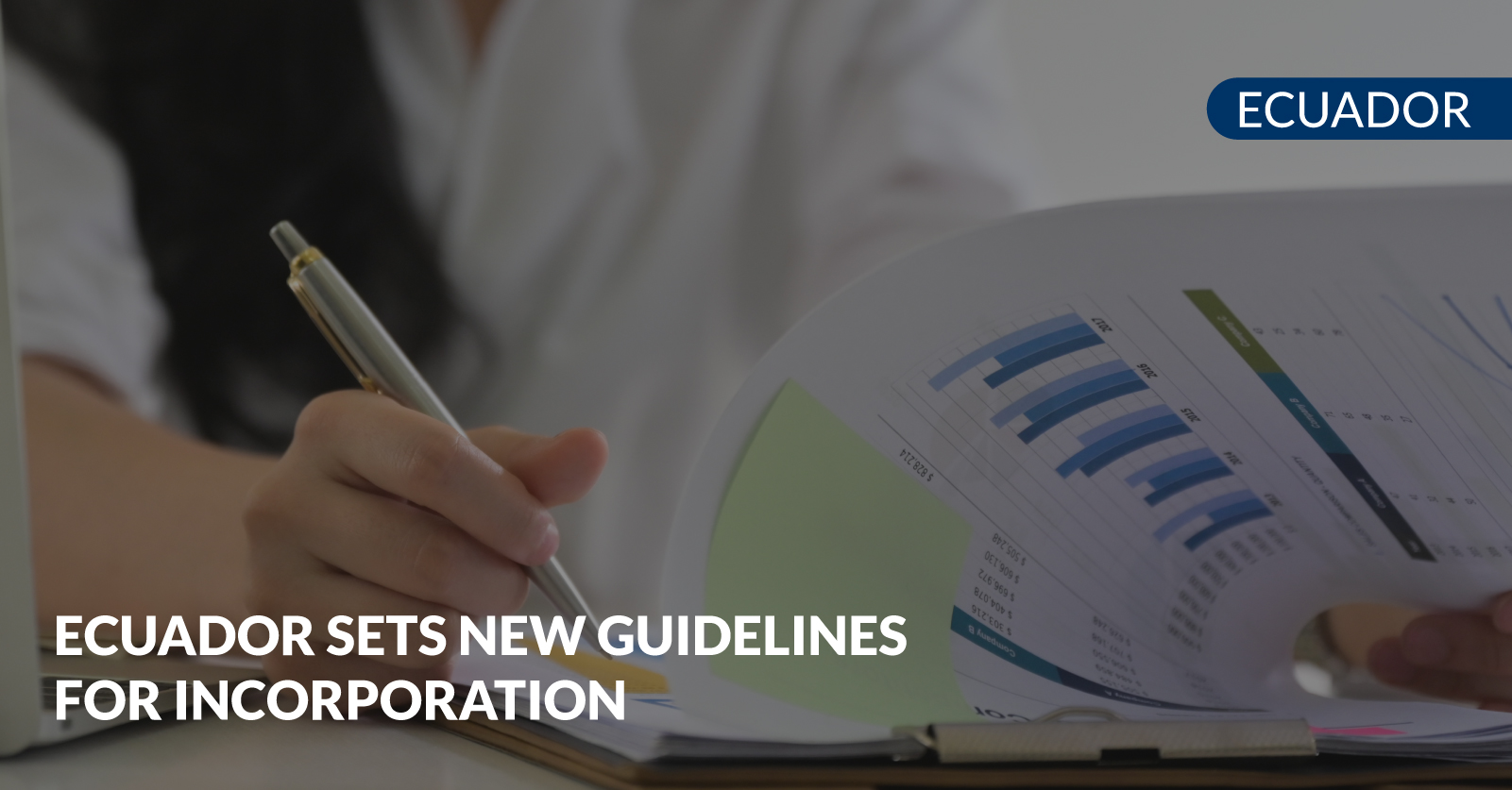 guidelines for incorporation
