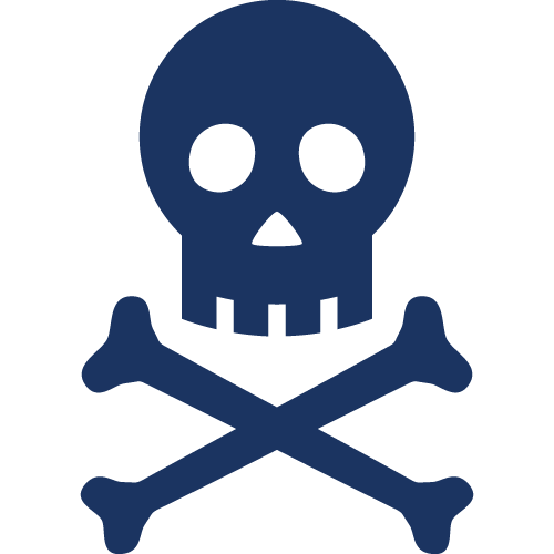 piracy icon