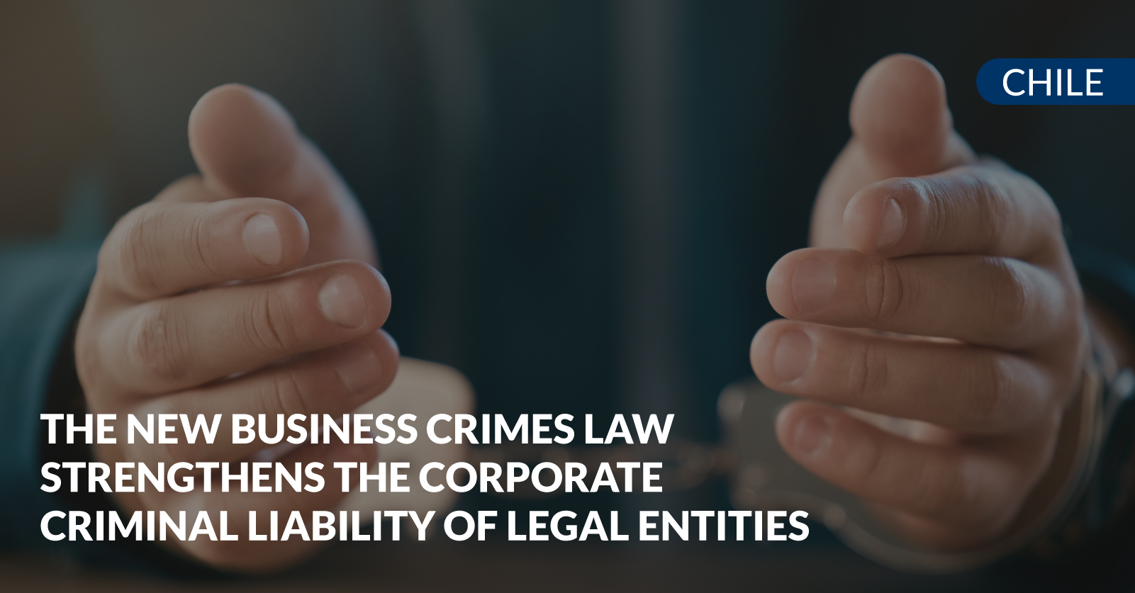 business crimes law