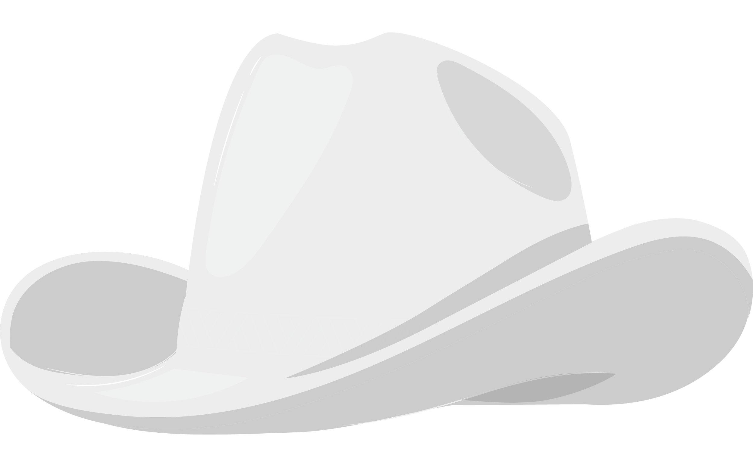 fedora hat