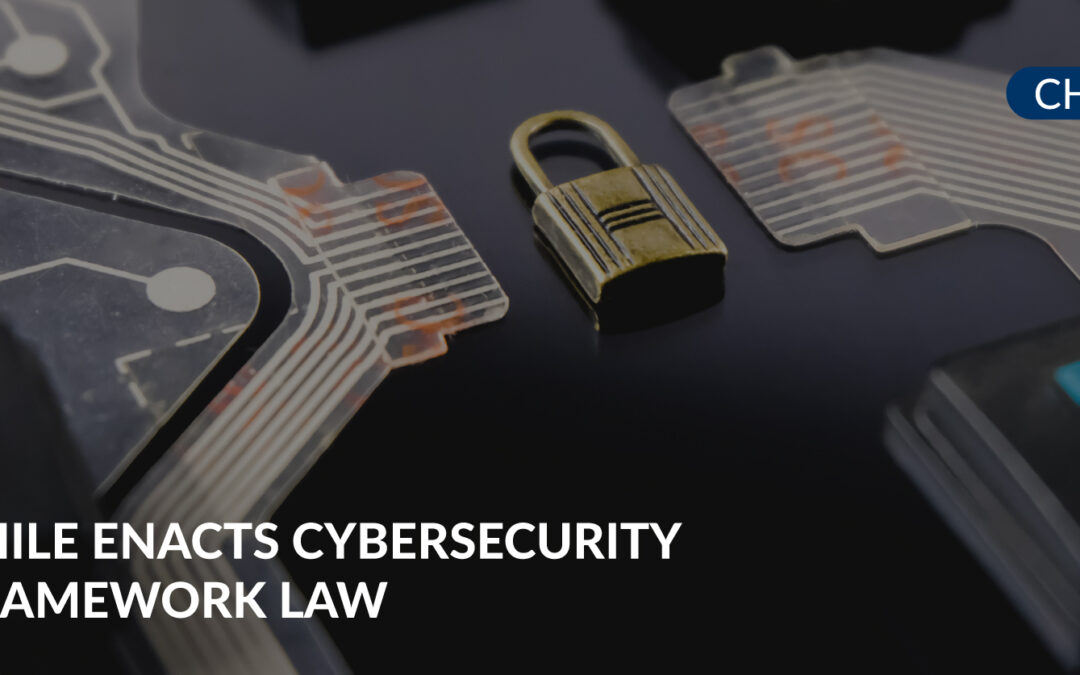 Framework Law