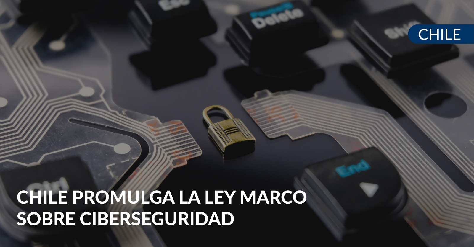 chile promulga ley sobre ciberseguridad