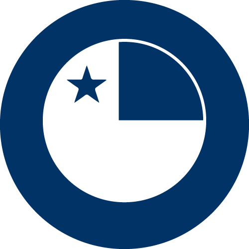 chile icon