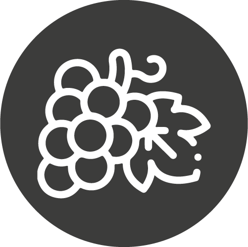 grape icon